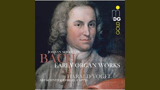 Wie schön leuchtet der Morgenstern, BWV 739