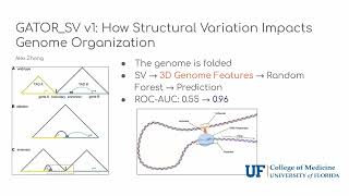 Lightning Poster Talks