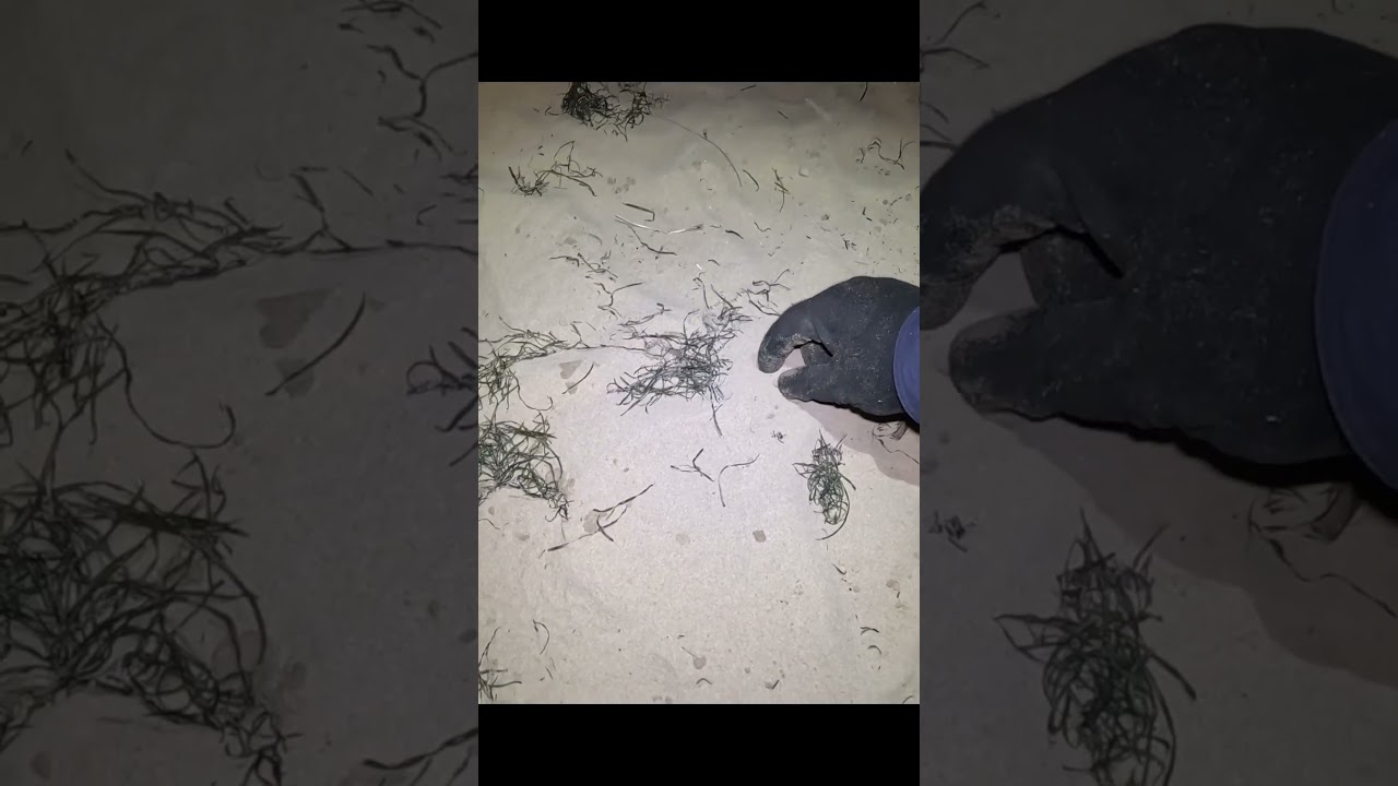 Surface Finds Are OK By Me! 