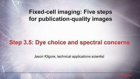 Five Steps Video-3.5-Detecting Your Sample–Dye Choice and Spectral Concerns