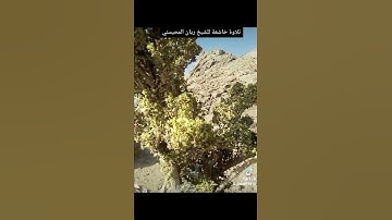 ٢٢ أبريل ٢٠٢٢تلاوة خاشعة للشيخ ريان المحيسني