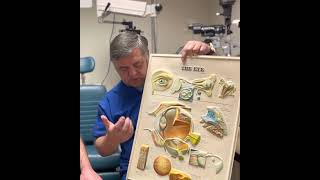 How does your tear film work  Dr. Luka explains