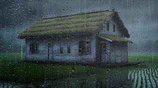 OVERCOME INSOMNIA IN 5 MINUTES WITH RAIN AND THUNDER SOUNDS | RAIN SOUNDS FOR SLEEPING & RELAX