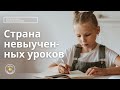 КАК ЗАСТАВИТЬ ДЕТЕЙ УЧИТЬСЯ (И НАДО ЛИ ЗАСТАВЛЯТЬ) / Зоя Веденкина, Школа родителей