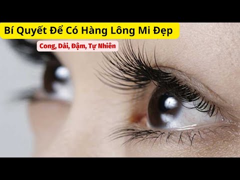 Video: 10 cách để có được hàng mi dày hơn