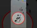 Vadodara Bridge Collapse 🚨 | Cars Fall into River | గుజరాత్ బ్రిడ్జ్ దుర్ఘటన Explained
