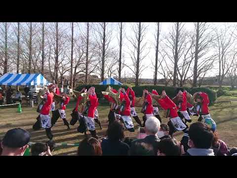 「極津」すずかRe:mix 石垣池公園会場 2022.3.27