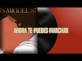 Ahora Te Puedes Marchar - Luis Miguel (letra)