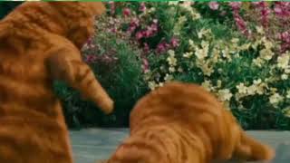 Garfield 2 1428