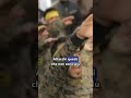 Cosa sta succedendo tra Israele e Libano?