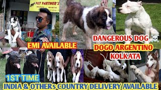 BIGGEST DOG KENNEL KOLKATA | CHEAP PRICE | ALL COUNTRY DOG DELIVERY| HOME DELIVERY| IMPORT & EXPORT|