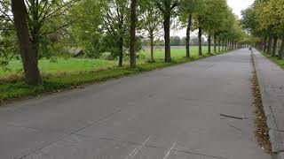 Cafe Racer Honda Cb50 1978 Drive By