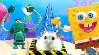 Hamster in Roller Coaster Maze with SpongeBob  My Krabby Patty