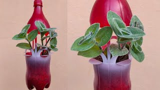 Simple And Creative Making Plastic Bottle Hanging Pot Nimbly