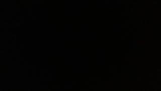 Speeder Faster Cow- Song 2