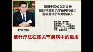 耿直《铍针疗法在膝关节疾病中的应用》- 德国中医学会 耿直《铍针疗法在膝关节疾病中的应用》- 德国中医学会