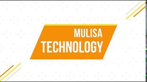 Microfinance Management System-Login Page Implementation Part 2