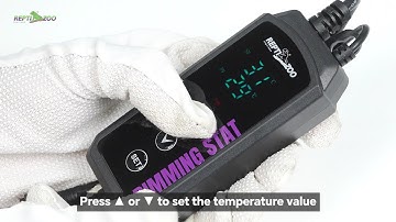 Reptizoo TC07 Dimming Thermostat: Perfect Temp for Your Reptiles!