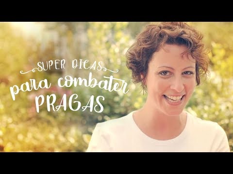 Vídeo: Como o húmus controla as pragas?