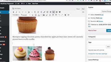 How To Place Images Side By Side in WordPress (Classic Editor)