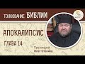 Апокалипсис. Откровение Иоанна Богослова. Глава 14. Протоиерей Олег Стеняев