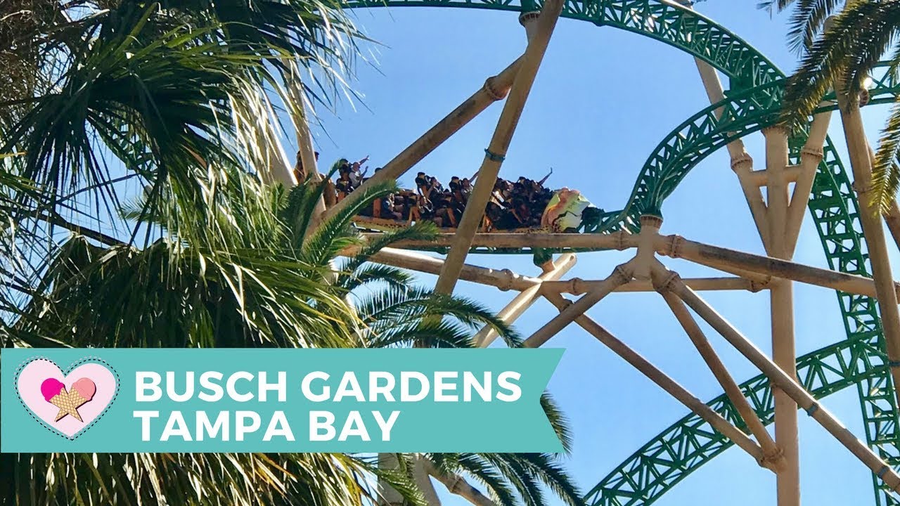 Tips For Planning A Trip To Busch Gardens Tampa With Kids Two