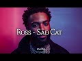 Ross - Sad Cat (Official Lyric Video)