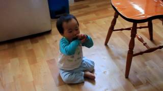 MVI_2937.avi