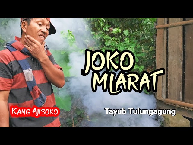 JOKO MLARAT - TAYUB TULUNGAGUNG - COVER BIMA SWARA class=