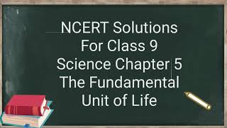 Class 9 th ll Chapter-5 The Fundamental unit of life ll NCERT Solutions with Hindi explanation screenshot 5