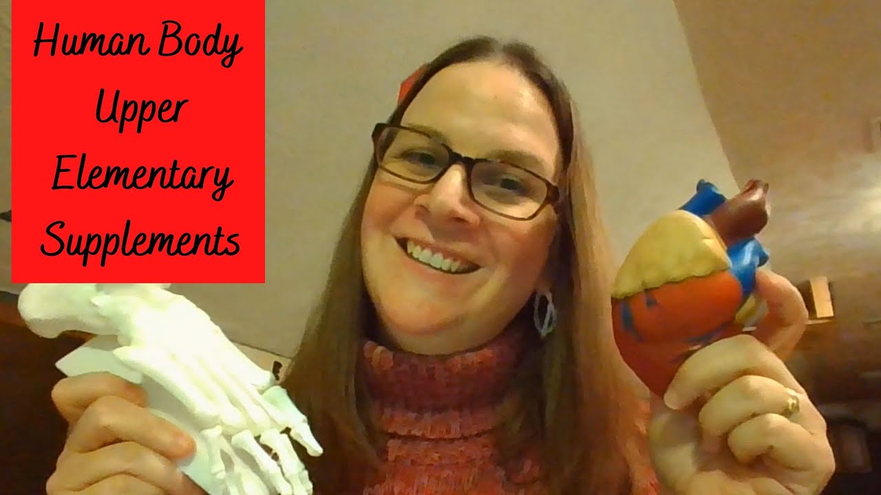 MasterBooks God s Design For Life Human Body Supplements YouTube masterbooks-god-s-design-for-life-human-body-supplements-youtube