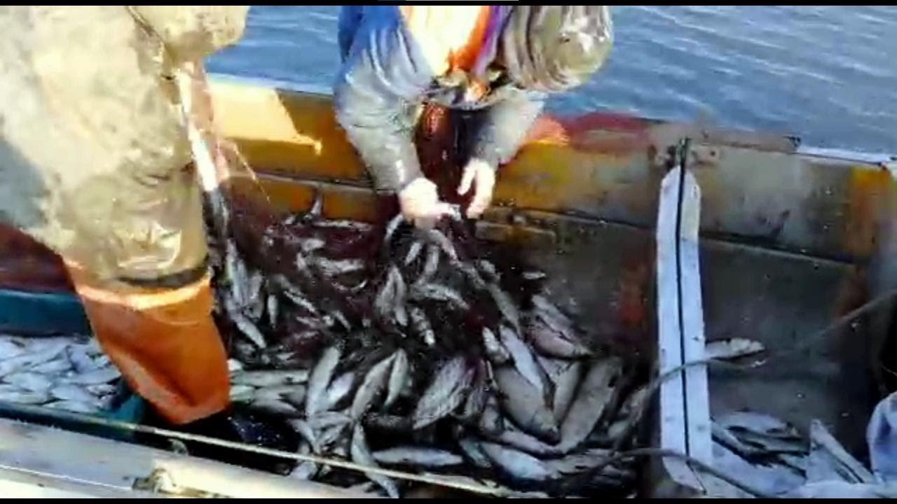 Осенняя Рыбалка на Индигирке часть 1