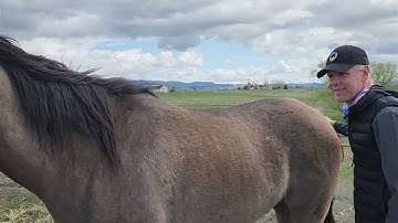 Horse Bonding: Building Trust Through Itchy Spots & Boundaries