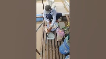 Chia sẻ làm mồi câu cá vồ đém #fishing #caucatrasong #fish #caucavatrainghiem #cauca