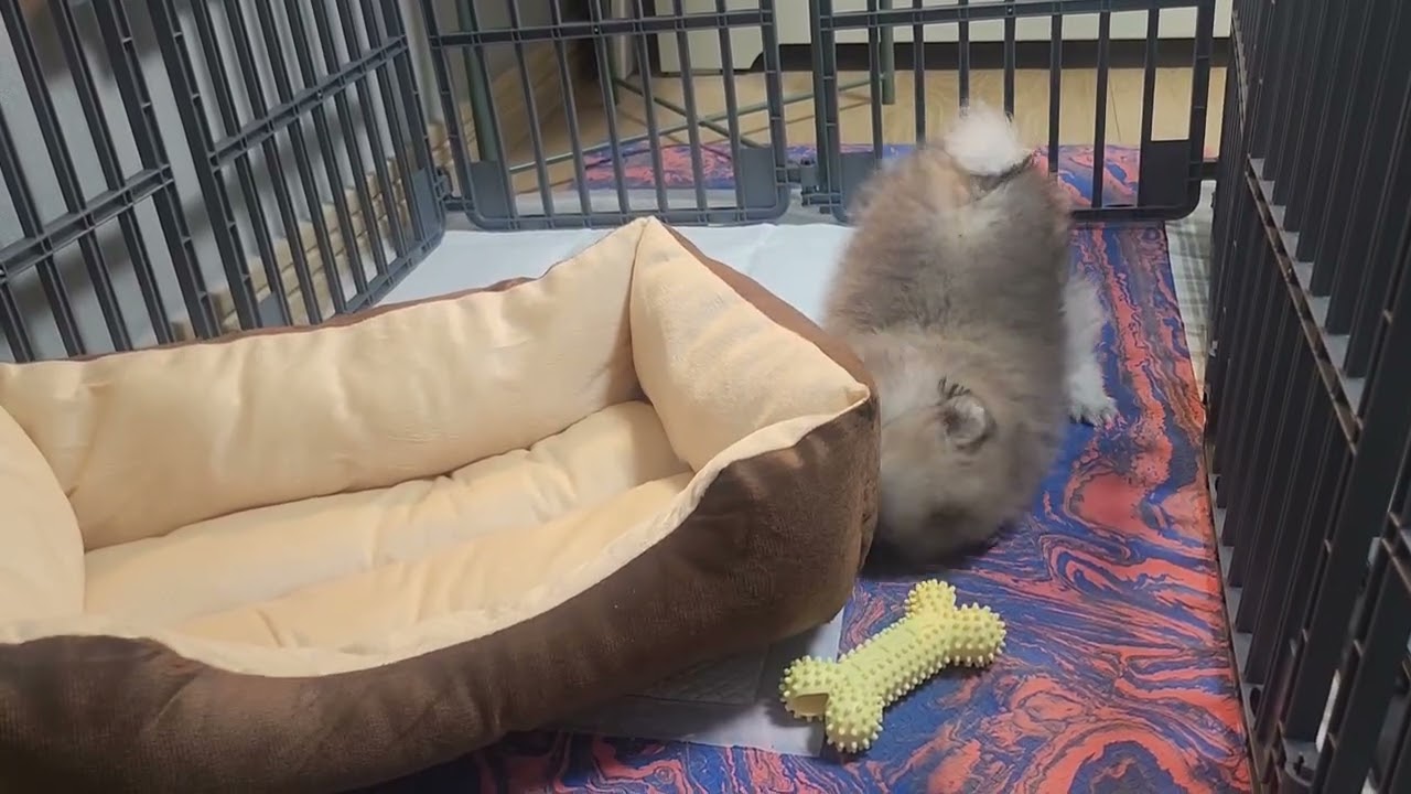 첫날부터 이렇게 귀여워도 돼? 🥹