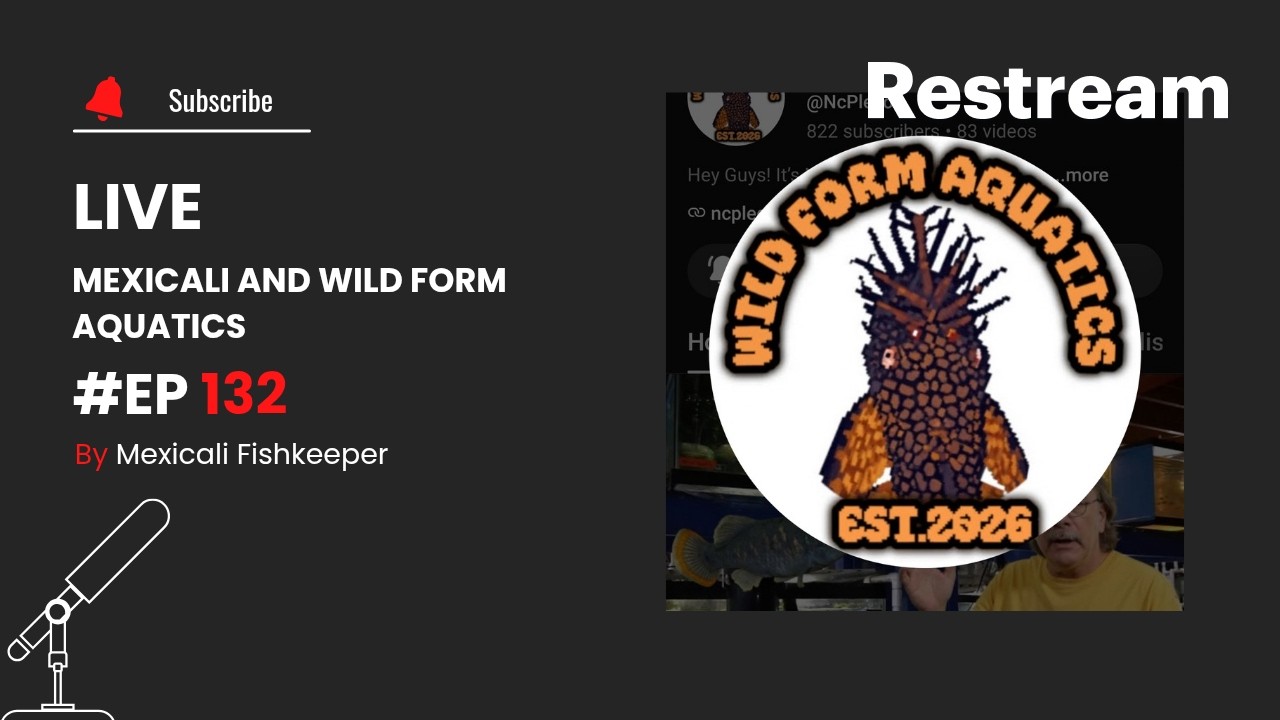 Mexicali and Wild Form Aquatics