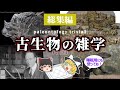 【睡眠用・ゆっくり解説】古代の雑学3 恐竜のミイラ/交尾/不可能な進化など【広告最初のみ 途中広告なし】