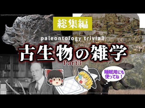 【睡眠用・ゆっくり解説】古代の雑学３　恐竜のミイラ/交尾/不可能な進化など【広告最初のみ　途中広告なし】