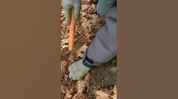 Short #62 - Nice Button found metal detecting with the Nokta Makro Simplex