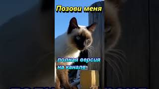 „Позови меня“-моя Версия песни. 2025 #песни2025 #Шансон #music #Сборник песен #песнидлядуши #Xит