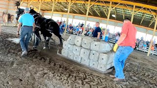 KEN & BUCK at a HORSE PULL!! // Old Fashioned Harvest Days & the Percherons Pull!