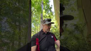 How To Get Rats Out Of Your Walls