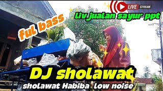 sholawat habiiba❗ DJ sholawat low noise 2025