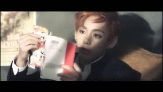 BTS (방탄소년단) '상남자 (Boy In Luv)'  MV