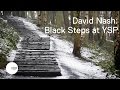 The making of black steps by david nash