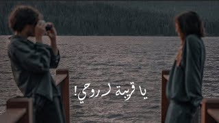 حالات واتس اب حب وعشق /  شطرنج - يا قريبة لـ روحي - بيغ سام - BiGSaM ✨🖤