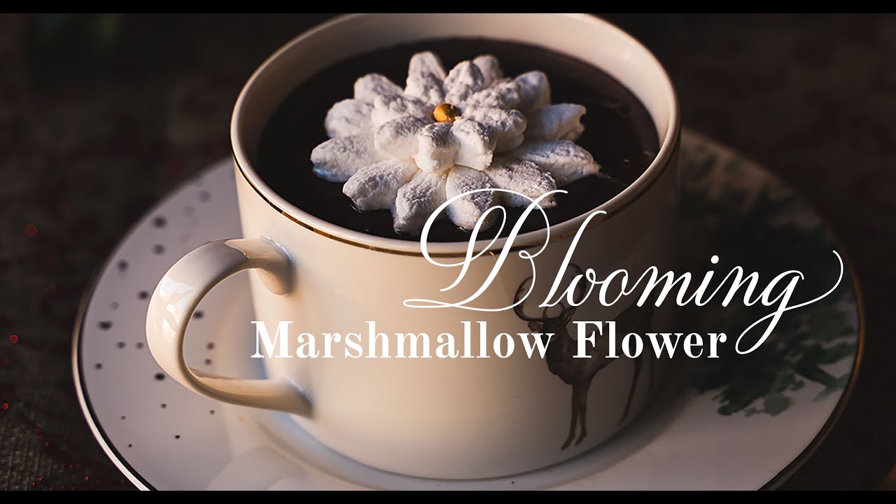Cómo hacer flor de marshmallow floreciente How to make blooming marshmallow flower YouTube
