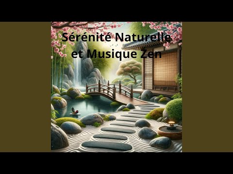 Ensemble de Musique Zen Relaxante : albums, chansons, playlists