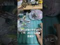 いきもの大図鑑アドバンス ニセハナマオウカマキリ撮影中 Short Shorts いきもの大図鑑アドバンス ニセハナマオウカマキリ撮影中 Short Shorts