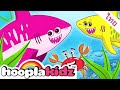 เพลง ปลาฉลาม (Shark Song) - เพลงเด็ก เสริมสร้างการเรียนรู้ | HooplaKidz Thai